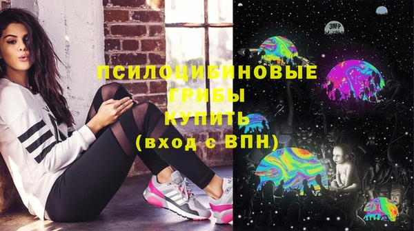 гашик Абинск