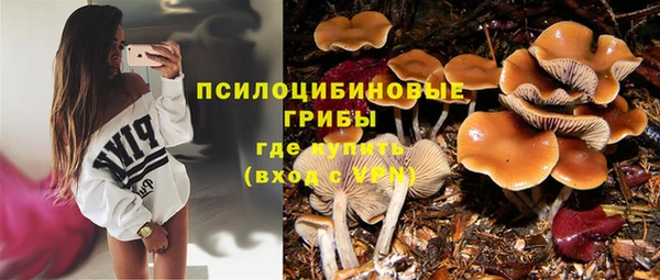 сатива Алексин