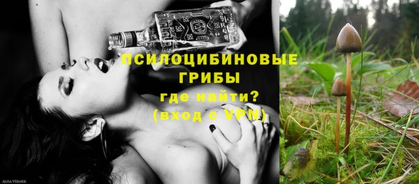 сатива Алексин
