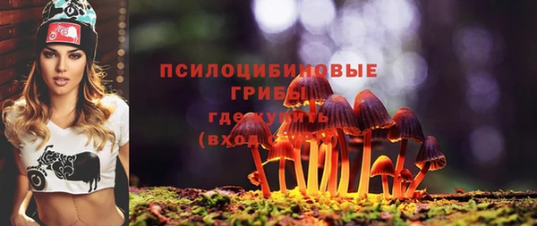 сатива Алексин
