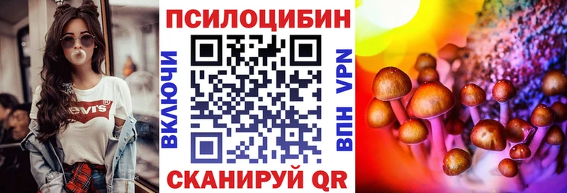 Псилоцибиновые грибы прущие грибы  даркнет какой сайт  Заинск 